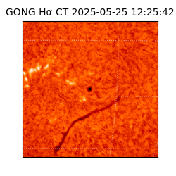 gong - 2025-05-25T12:25:42