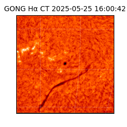 gong - 2025-05-25T16:00:42