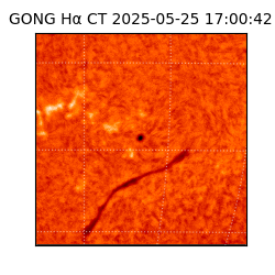 gong - 2025-05-25T17:00:42