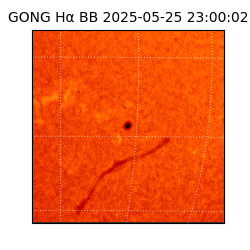 gong - 2025-05-25T23:00:02