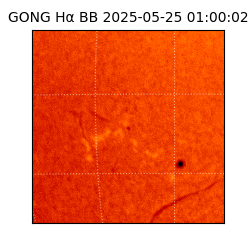 gong - 2025-05-25T01:00:02