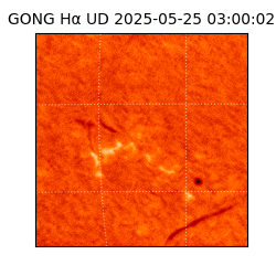 gong - 2025-05-25T03:00:02