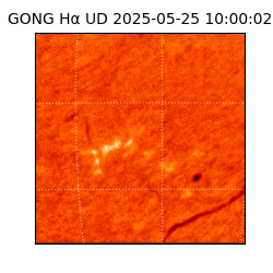 gong - 2025-05-25T10:00:02