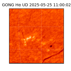 gong - 2025-05-25T11:00:02