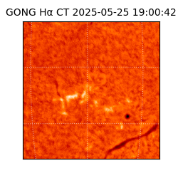 gong - 2025-05-25T19:00:42