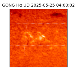 gong - 2025-05-25T04:00:02