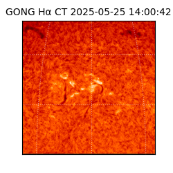 gong - 2025-05-25T14:00:42