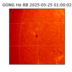 gong - 2025-05-25T01:00:02