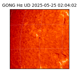 gong - 2025-05-25T02:04:02
