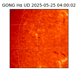 gong - 2025-05-25T04:00:02