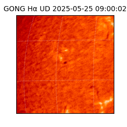 gong - 2025-05-25T09:00:02