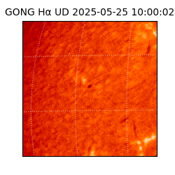 gong - 2025-05-25T10:00:02
