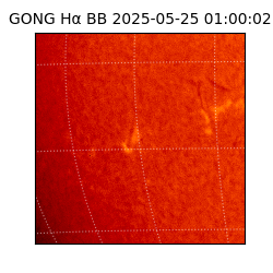 gong - 2025-05-25T01:00:02