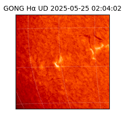 gong - 2025-05-25T02:04:02