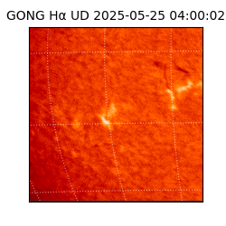 gong - 2025-05-25T04:00:02