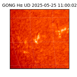 gong - 2025-05-25T11:00:02