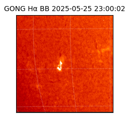 gong - 2025-05-25T23:00:02