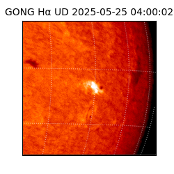 gong - 2025-05-25T04:00:02