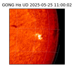 gong - 2025-05-25T11:00:02