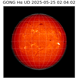 gong - 2025-05-25T02:04:02