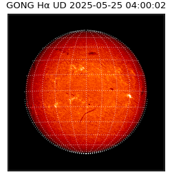 gong - 2025-05-25T04:00:02