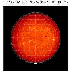 gong - 2025-05-25T05:00:02
