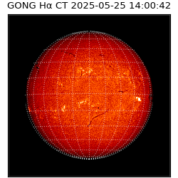 gong - 2025-05-25T14:00:42