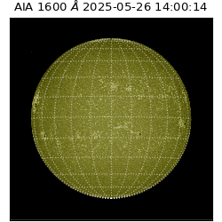 saia - 2025-05-26T14:00:14.125000