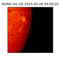 gong - 2025-05-26T09:00:02