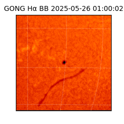 gong - 2025-05-26T01:00:02