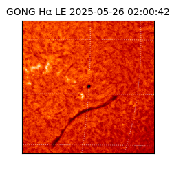 gong - 2025-05-26T02:00:42