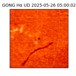 gong - 2025-05-26T05:00:02