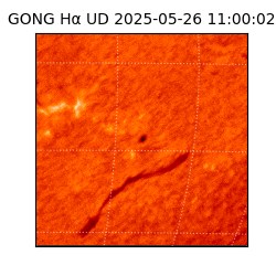 gong - 2025-05-26T11:00:02