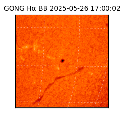 gong - 2025-05-26T17:00:02
