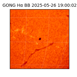 gong - 2025-05-26T19:00:02