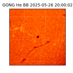 gong - 2025-05-26T20:00:02