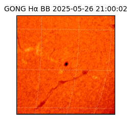 gong - 2025-05-26T21:00:02