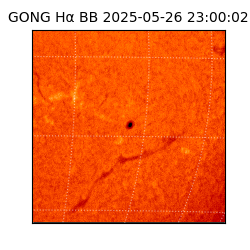 gong - 2025-05-26T23:00:02