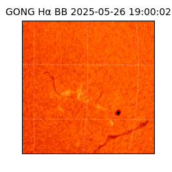 gong - 2025-05-26T19:00:02