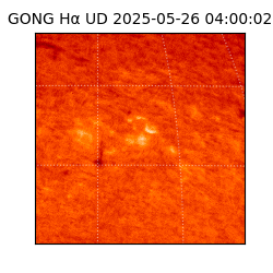 gong - 2025-05-26T04:00:02