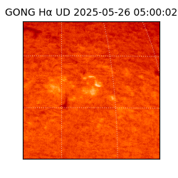 gong - 2025-05-26T05:00:02