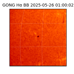 gong - 2025-05-26T01:00:02