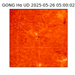 gong - 2025-05-26T05:00:02