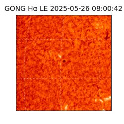 gong - 2025-05-26T08:00:42
