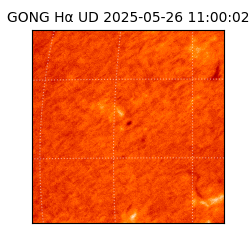 gong - 2025-05-26T11:00:02