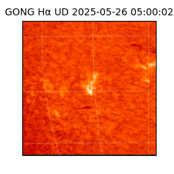 gong - 2025-05-26T05:00:02