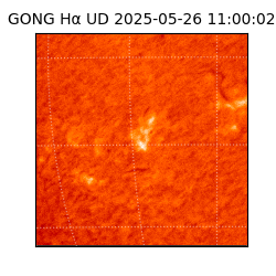gong - 2025-05-26T11:00:02