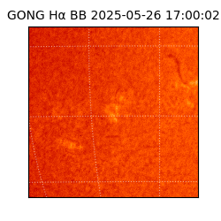 gong - 2025-05-26T17:00:02
