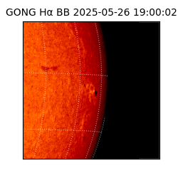 gong - 2025-05-26T19:00:02