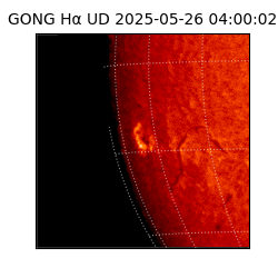 gong - 2025-05-26T04:00:02